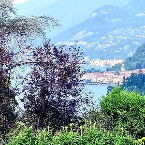 Mati's House Bellagio